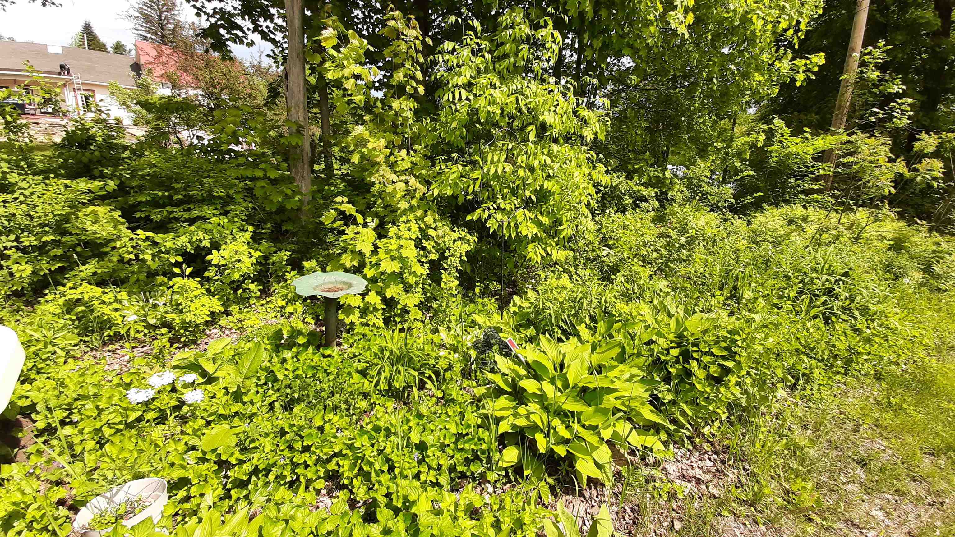 643 Main Street Cavendish, VT 05153 - Photo 47 of 52