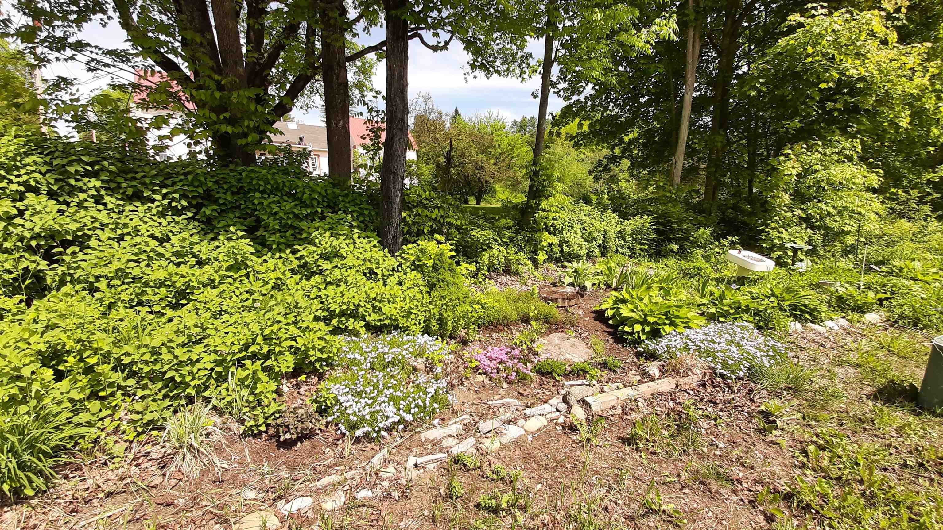 643 Main Street Cavendish, VT 05153 - Photo 48 of 52