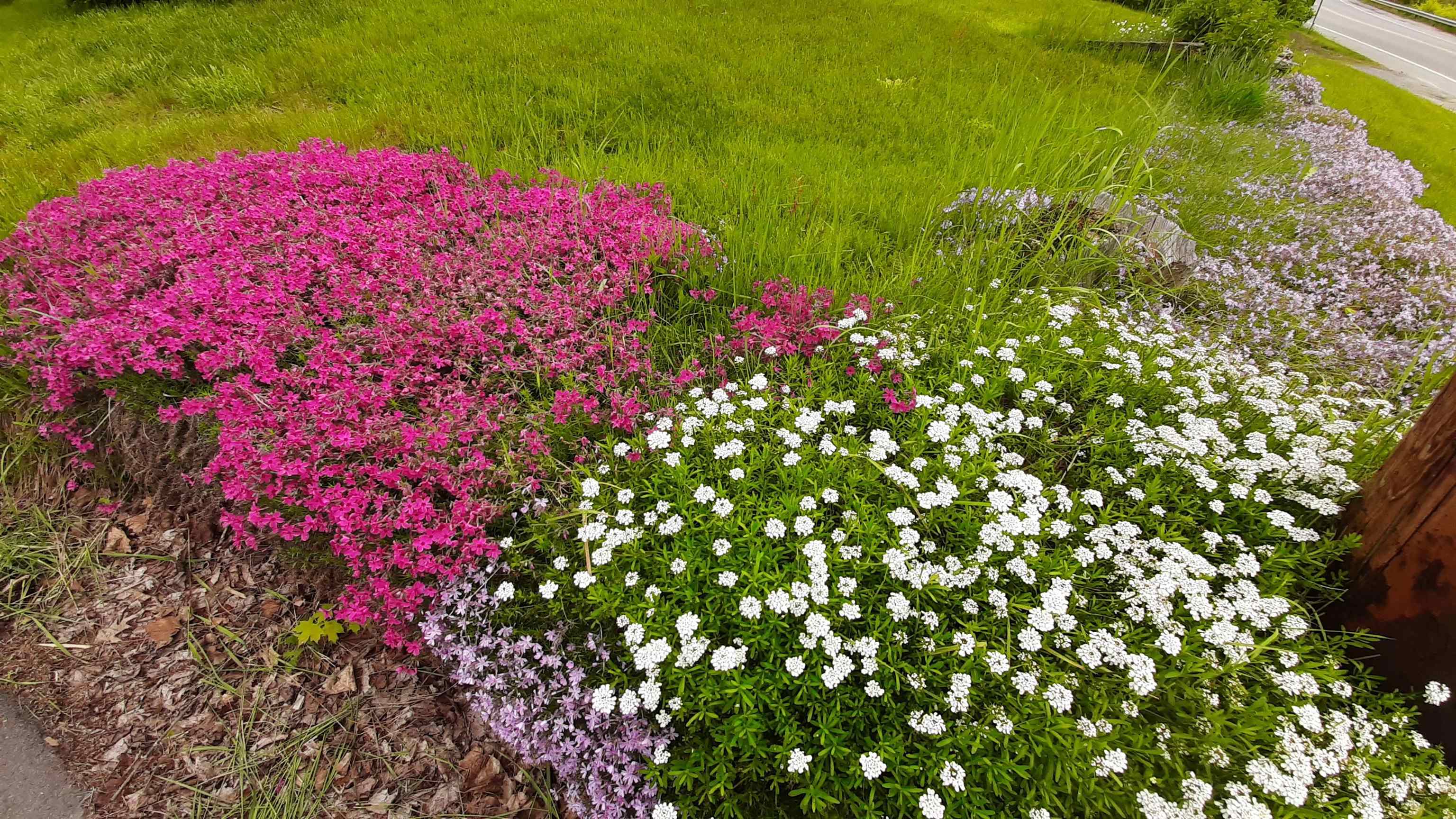 643 Main Street Cavendish, VT 05153 - Photo 50 of 52