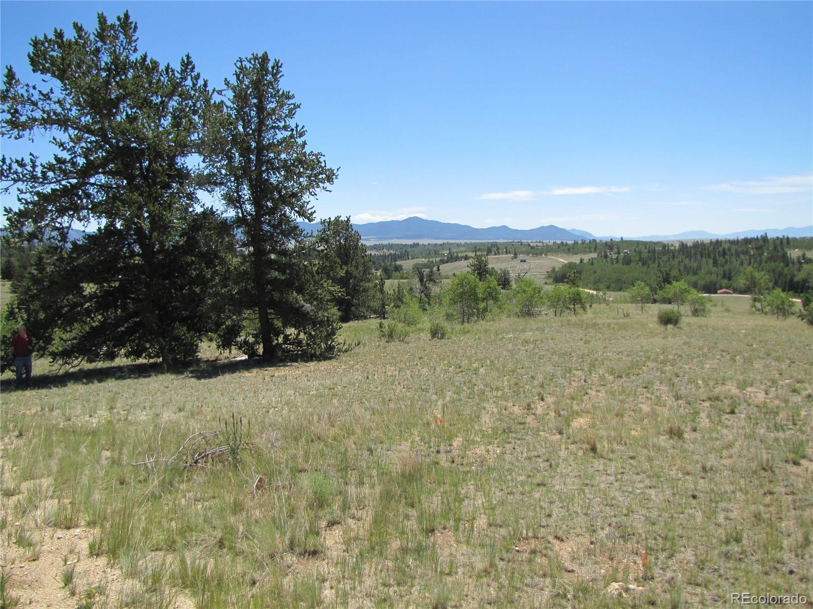 1710 Buffalo Ridge Road Como, CO 80456 - Photo 2 of 14 Gallery Image 2