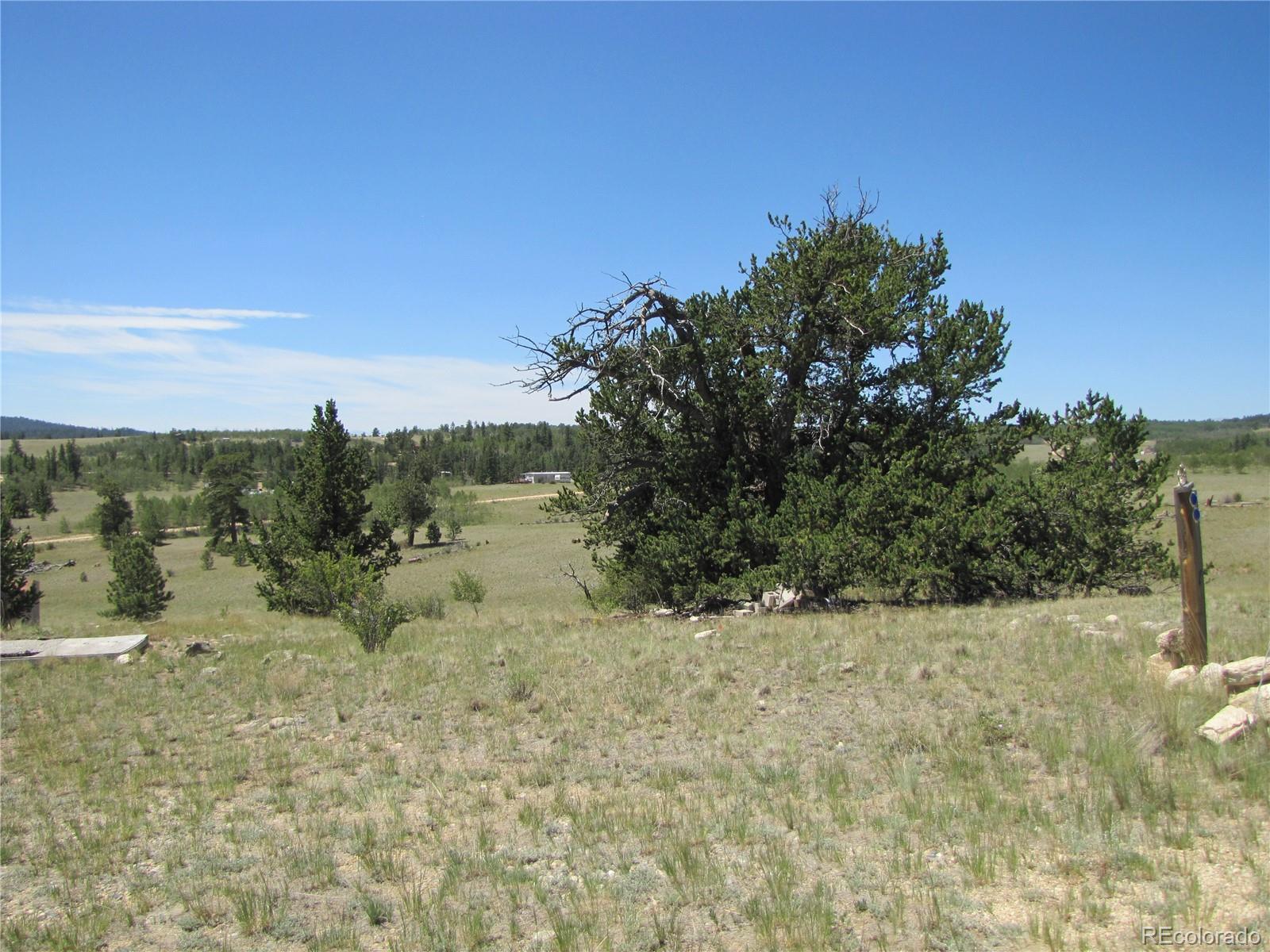 1710 Buffalo Ridge Road Como, CO 80456 - Photo 3 of 14 Gallery Image 3