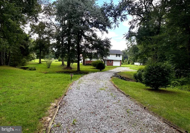 a view of a park with large trees