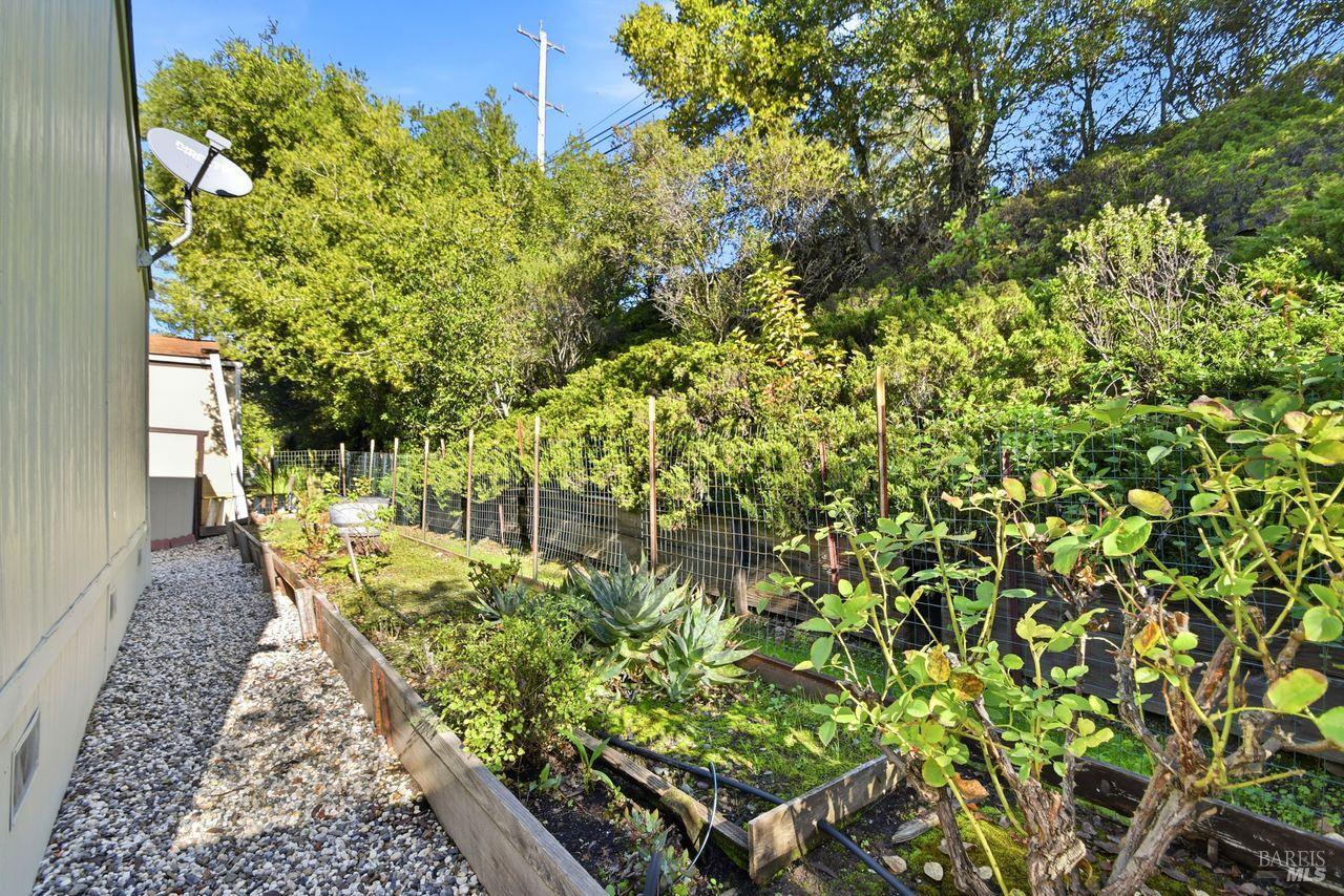 121 Coronado Circle Santa Rosa, CA 95409 - Photo 28 of 32 a view of a yard with plants