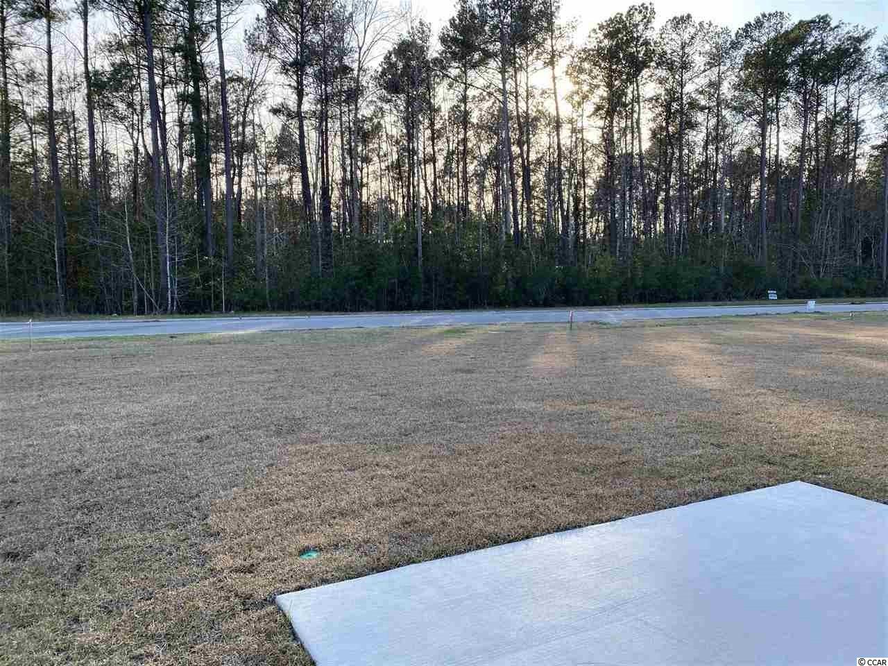 2054 Borgata Loop Longs, SC 29568 - Photo 38 of 38 Gallery Image 38