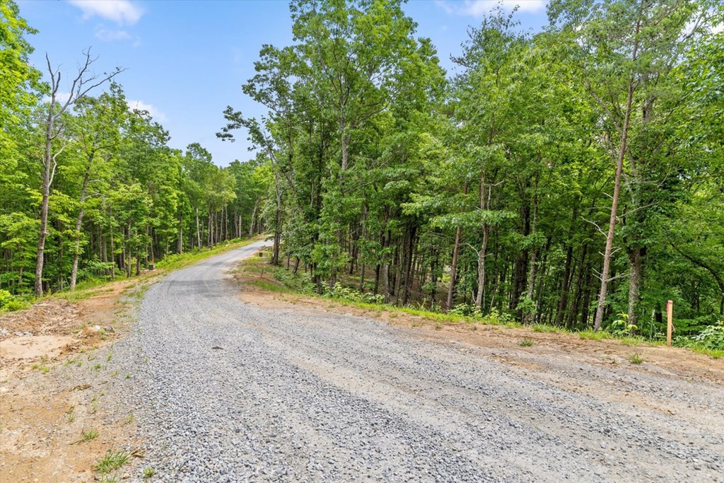 Lot 414 Calloway Mountain Road Talking Rock, GA 30175 - Photo 4 of 25