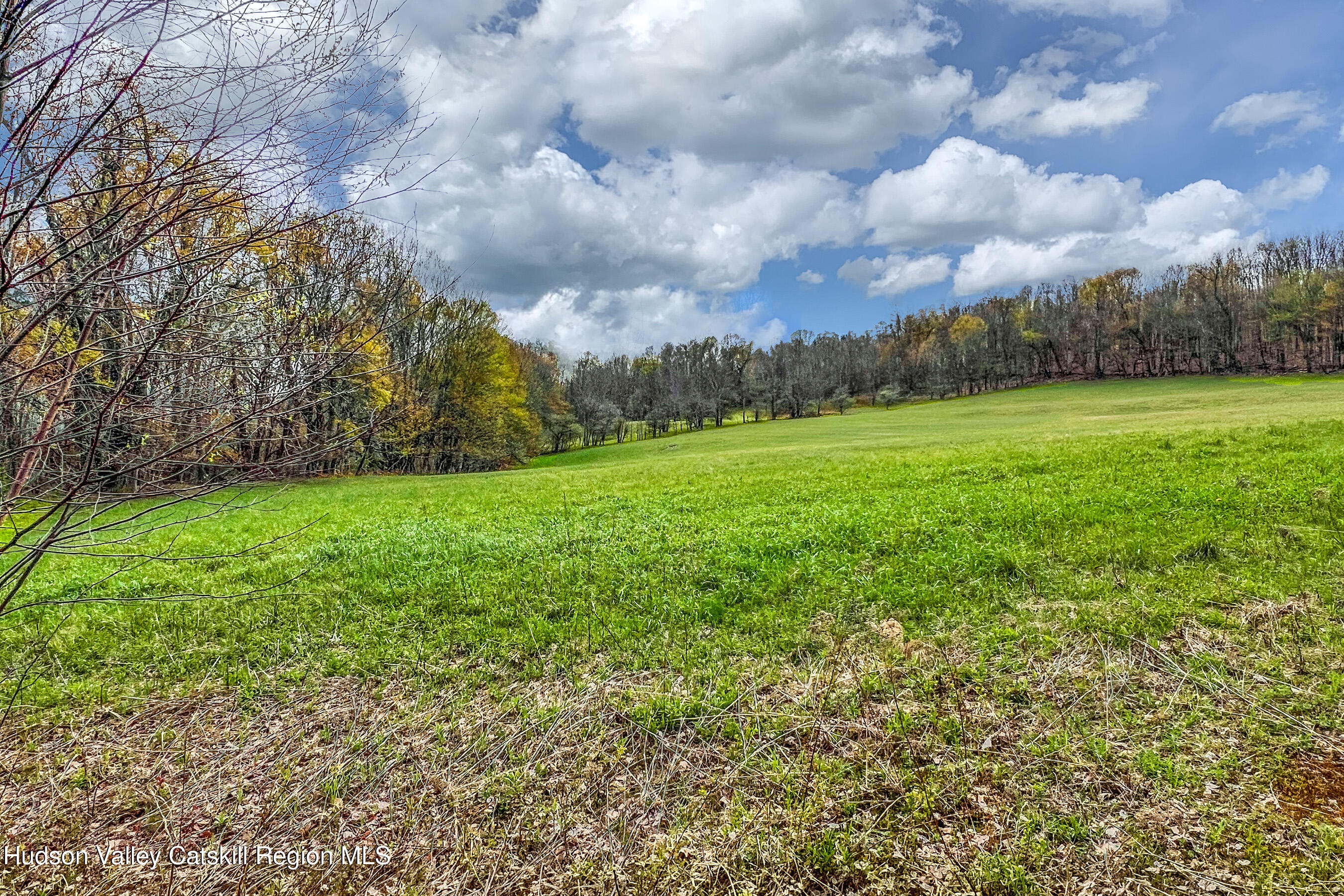 0 Brownell Road Bloomville, NY 13739 - Photo 11 of 39 23 acres Brownell Rd -- 009