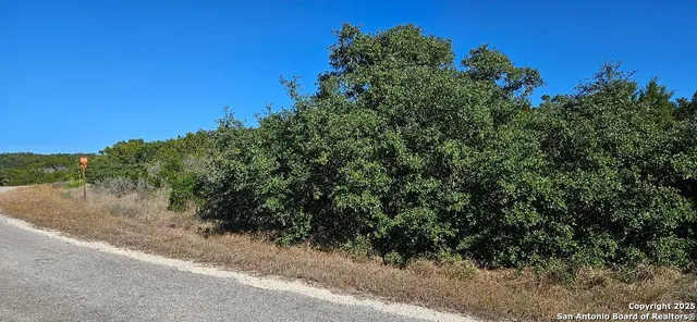 a view of a lake with a tree
