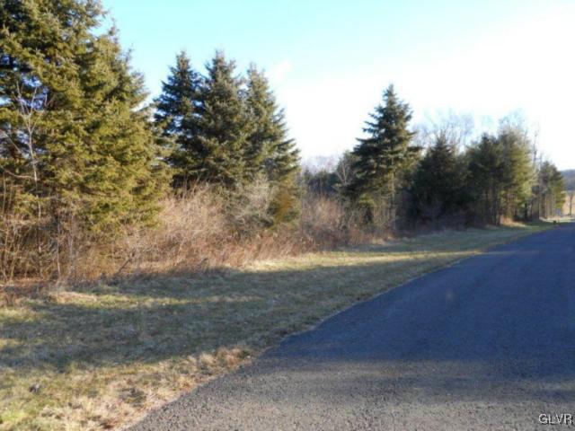 8 Evergreen Road Riegelsville, PA 18077 - Photo 8 of 9 a view of a yard with large trees