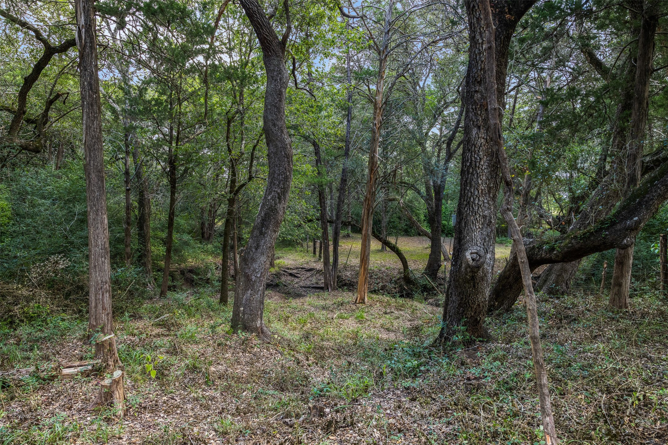 9809 Mazoch Road La Grange, TX 78945 - Photo 25 of 27 Gallery Image 25
