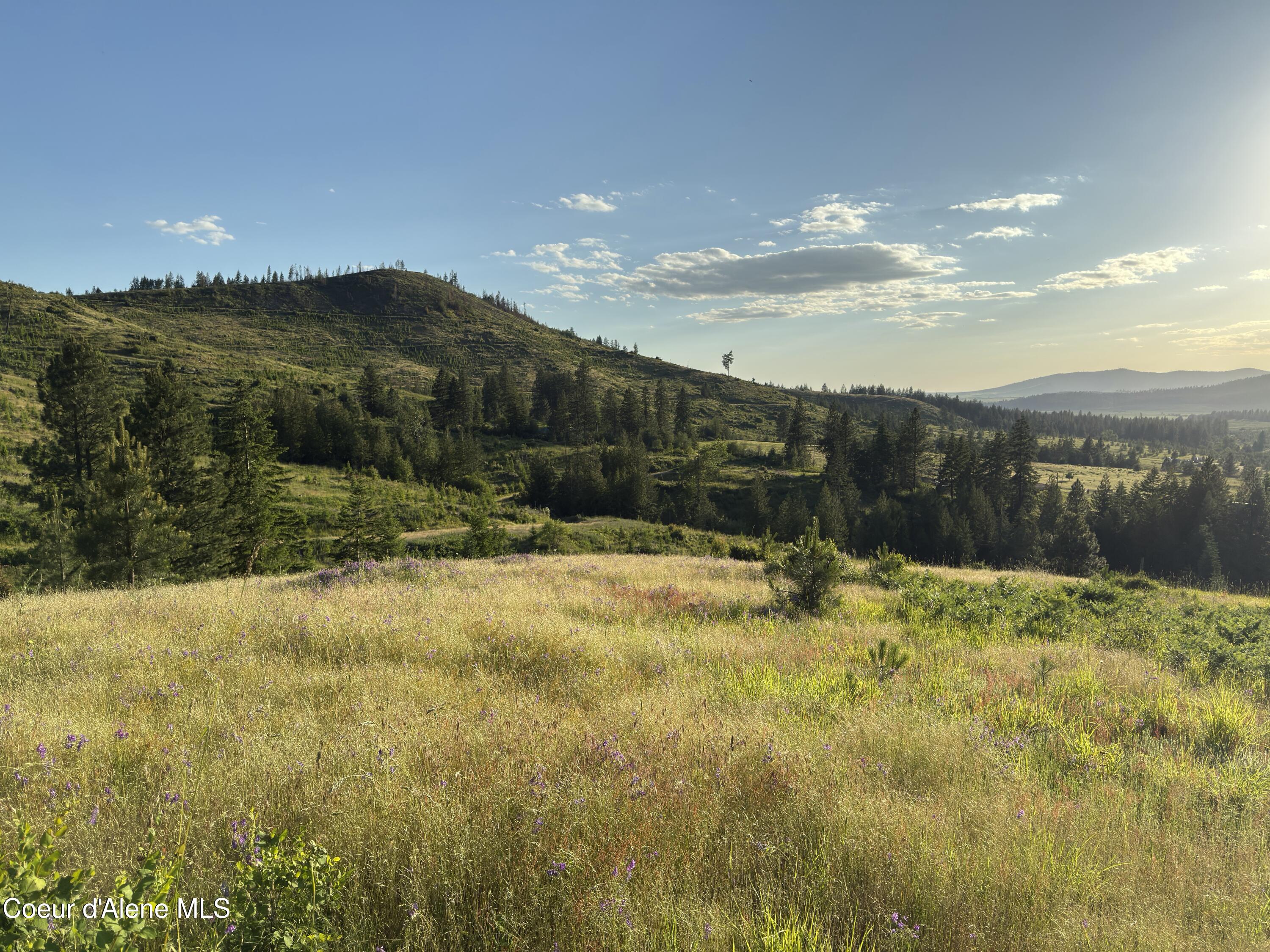 Nna Windfall Pass Road St. Maries, ID 83861 - Photo 12 of 38 200 (11)