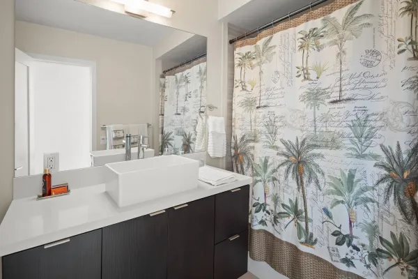 a bathroom with a sink a mirror and a shower curtain