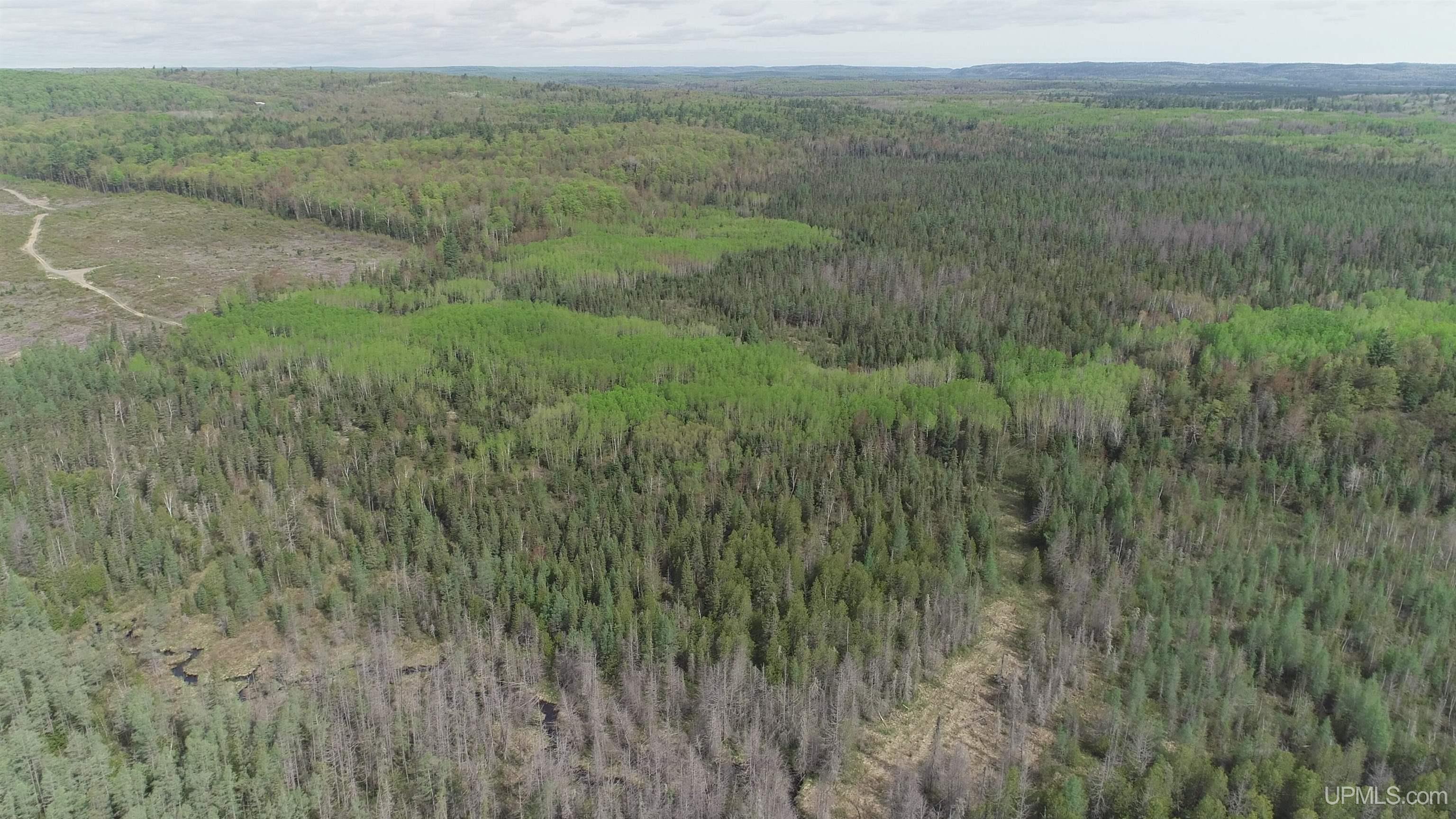 280-acres County Road CCN Road Negaunee, MI 49866 - Photo 25 of 48