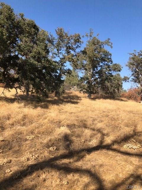 0 Meadow Brook Road Coarsegold, CA 93614 - Photo 1 of 5 Gallery Image 1