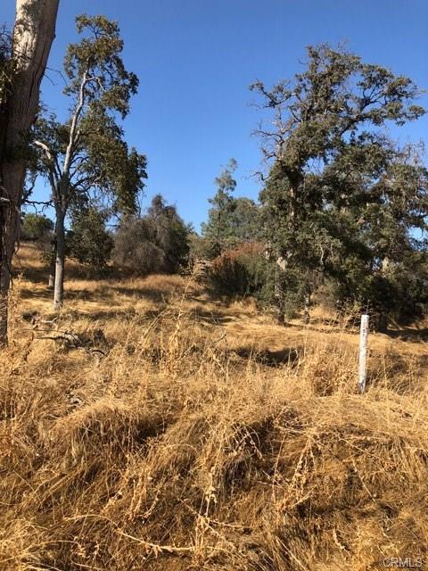 0 Meadow Brook Road Coarsegold, CA 93614 - Photo 2 of 5 Gallery Image 2