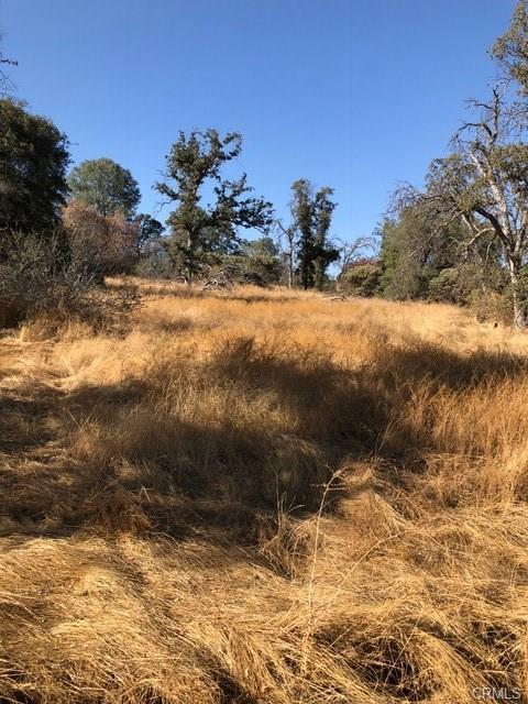 0 Meadow Brook Road Coarsegold, CA 93614 - Photo 3 of 5 Gallery Image 3