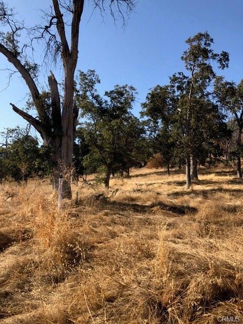 0 Meadow Brook Road Coarsegold, CA 93614 - Photo 4 of 5 Gallery Image 4