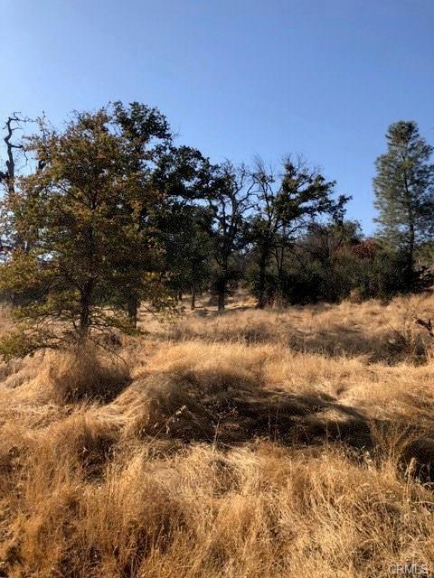0 Meadow Brook Road Coarsegold, CA 93614 - Photo 5 of 5 Gallery Image 5