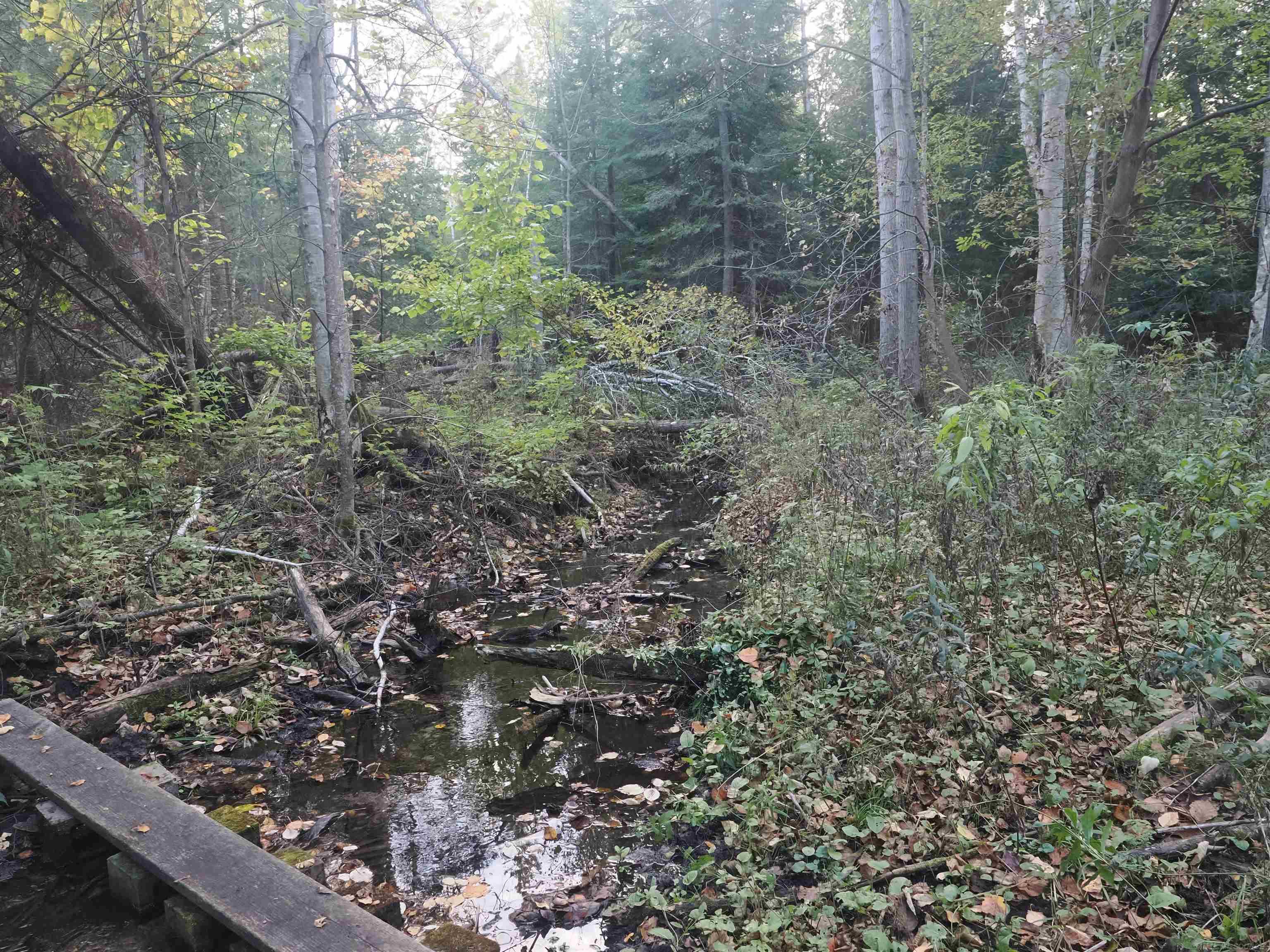 Xxx Tolan Road Spruce, MI 48762 - Photo 48 of 79