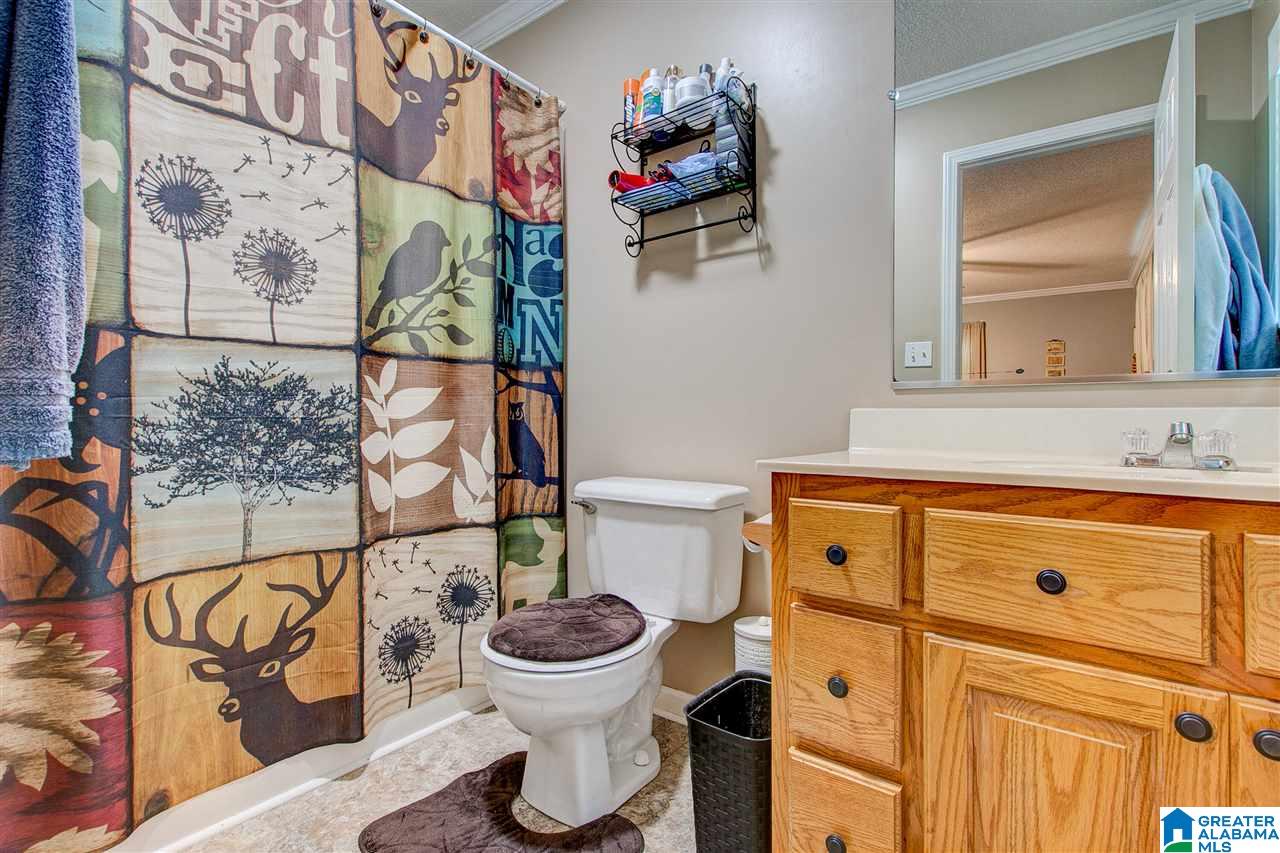 1138 Champion Road Oneonta, AL 35121 - Photo 16 of 24 Gallery Image 16