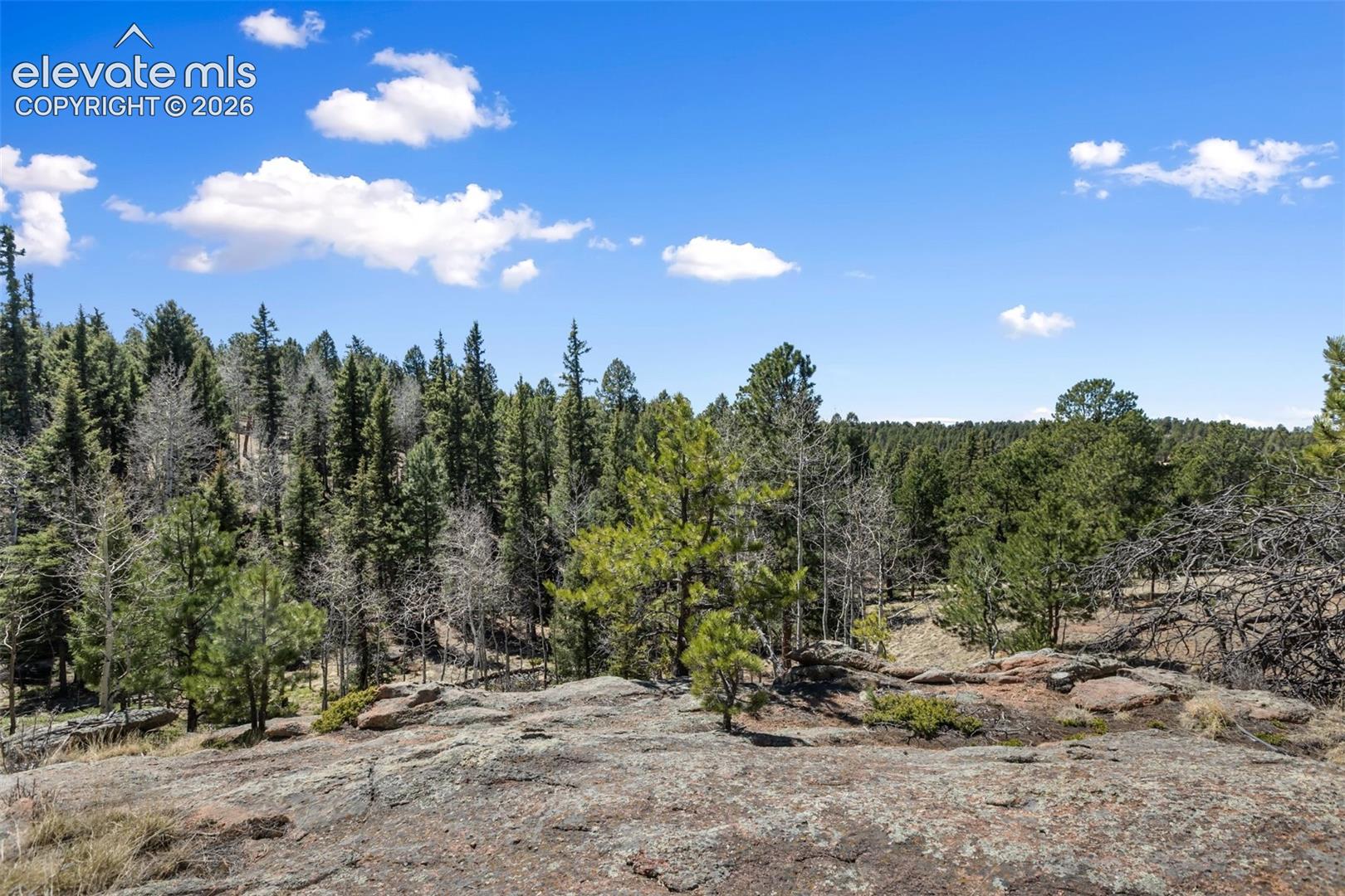 18 Mt Powderhorn Road Florissant, CO 80816 - Photo 8 of 38 Gallery Image 8