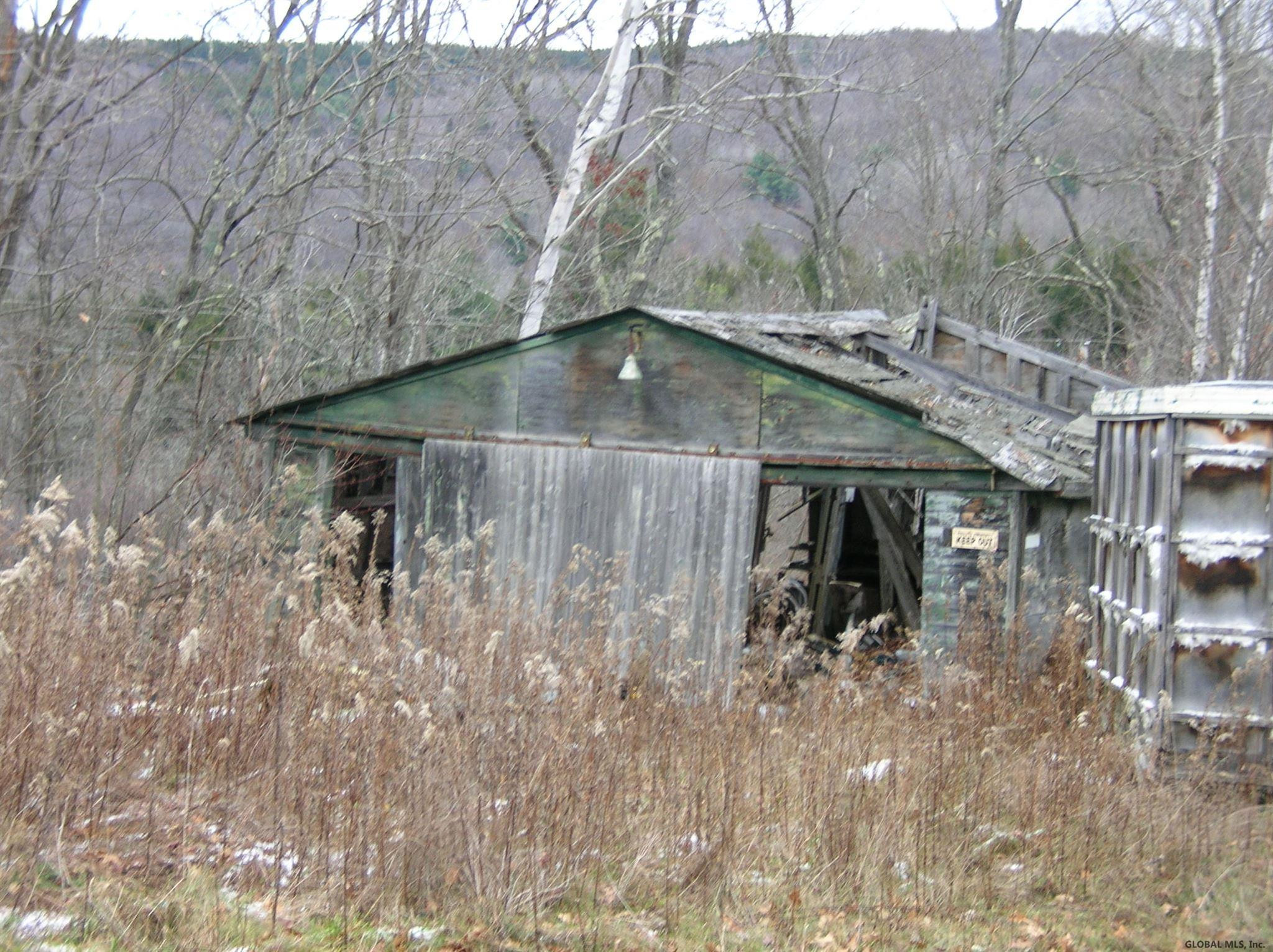 459 Clapper Hollow Road Jefferson, NY 12093 - Photo 6 of 8 Photo 6