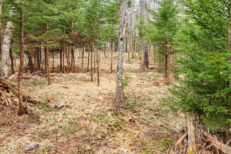 11 Quiet Shore Road Steuben, ME 04680 - Photo 14 of 31
