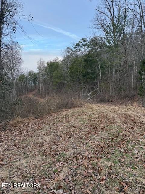 971 Scenic River Road Madisonville, TN 37354 - Photo 13 of 21 IMG_7514