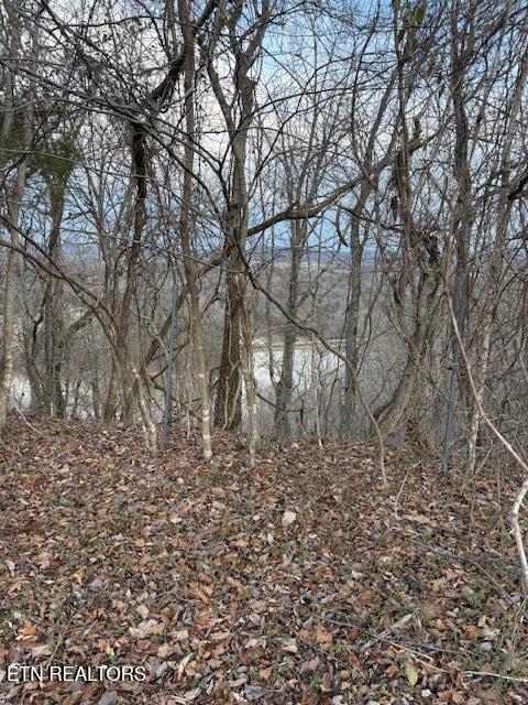 971 Scenic River Road Madisonville, TN 37354 - Photo 15 of 21 IMG_7519