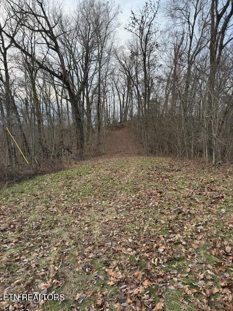 971 Scenic River Road Madisonville, TN 37354 - Photo 16 of 21 IMG_7531