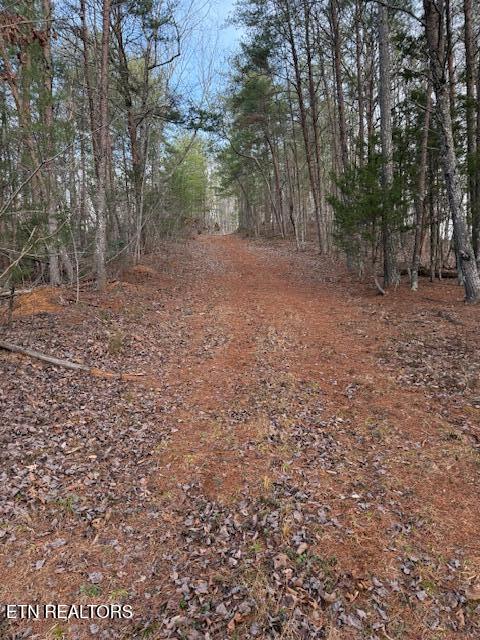 971 Scenic River Road Madisonville, TN 37354 - Photo 17 of 21 IMG_7532