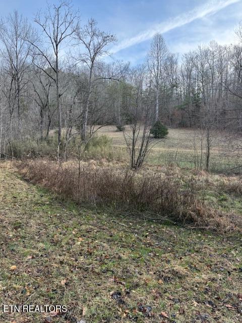 971 Scenic River Road Madisonville, TN 37354 - Photo 18 of 21 IMG_7533