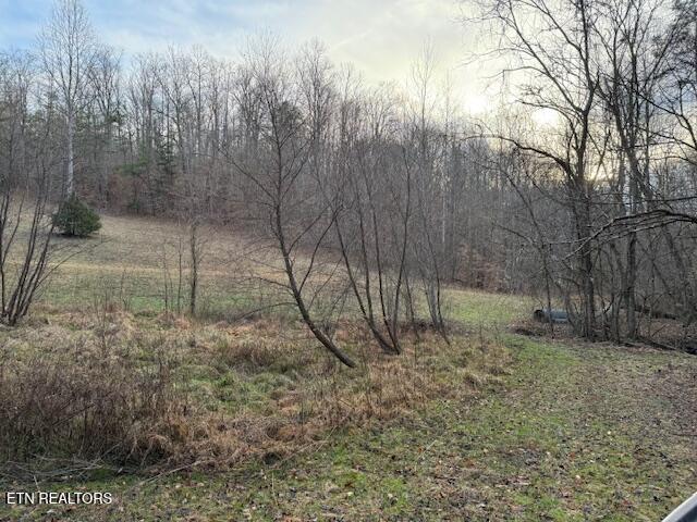 971 Scenic River Road Madisonville, TN 37354 - Photo 19 of 21 IMG_7534