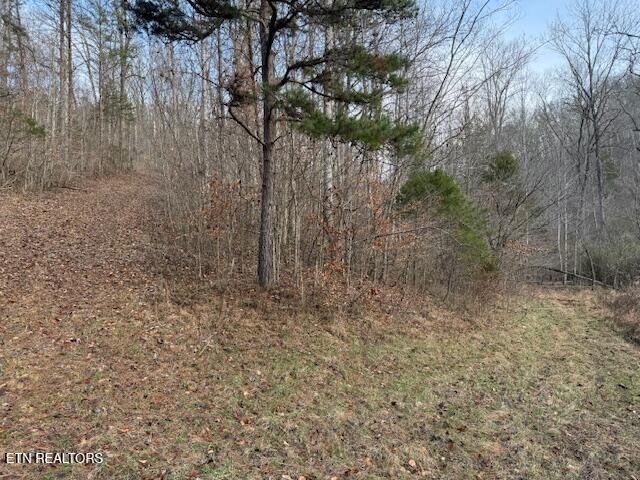 971 Scenic River Road Madisonville, TN 37354 - Photo 20 of 21 IMG_7535