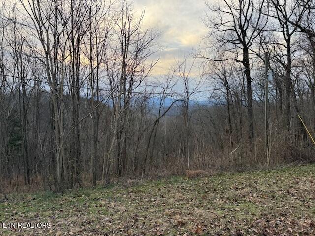 971 Scenic River Road Madisonville, TN 37354 - Photo 2 of 21 IMG_7520