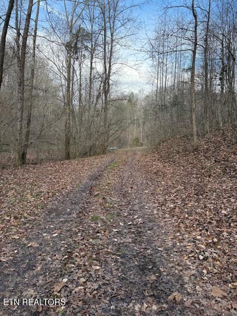 971 Scenic River Road Madisonville, TN 37354 - Photo 21 of 21 IMG_7536
