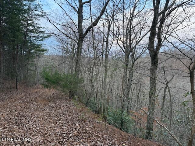 971 Scenic River Road Madisonville, TN 37354 - Photo 4 of 21 IMG_7517