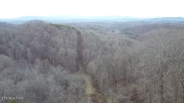 971 Scenic River Road Madisonville, TN 37354 - Photo 6 of 21 2026-01-14-08-28-05-201