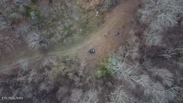 971 Scenic River Road Madisonville, TN 37354 - Photo 7 of 21 2026-01-14-08-28-30-963