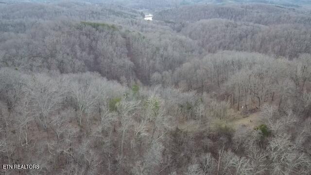 971 Scenic River Road Madisonville, TN 37354 - Photo 10 of 21 2026-01-14-08-29-30-795