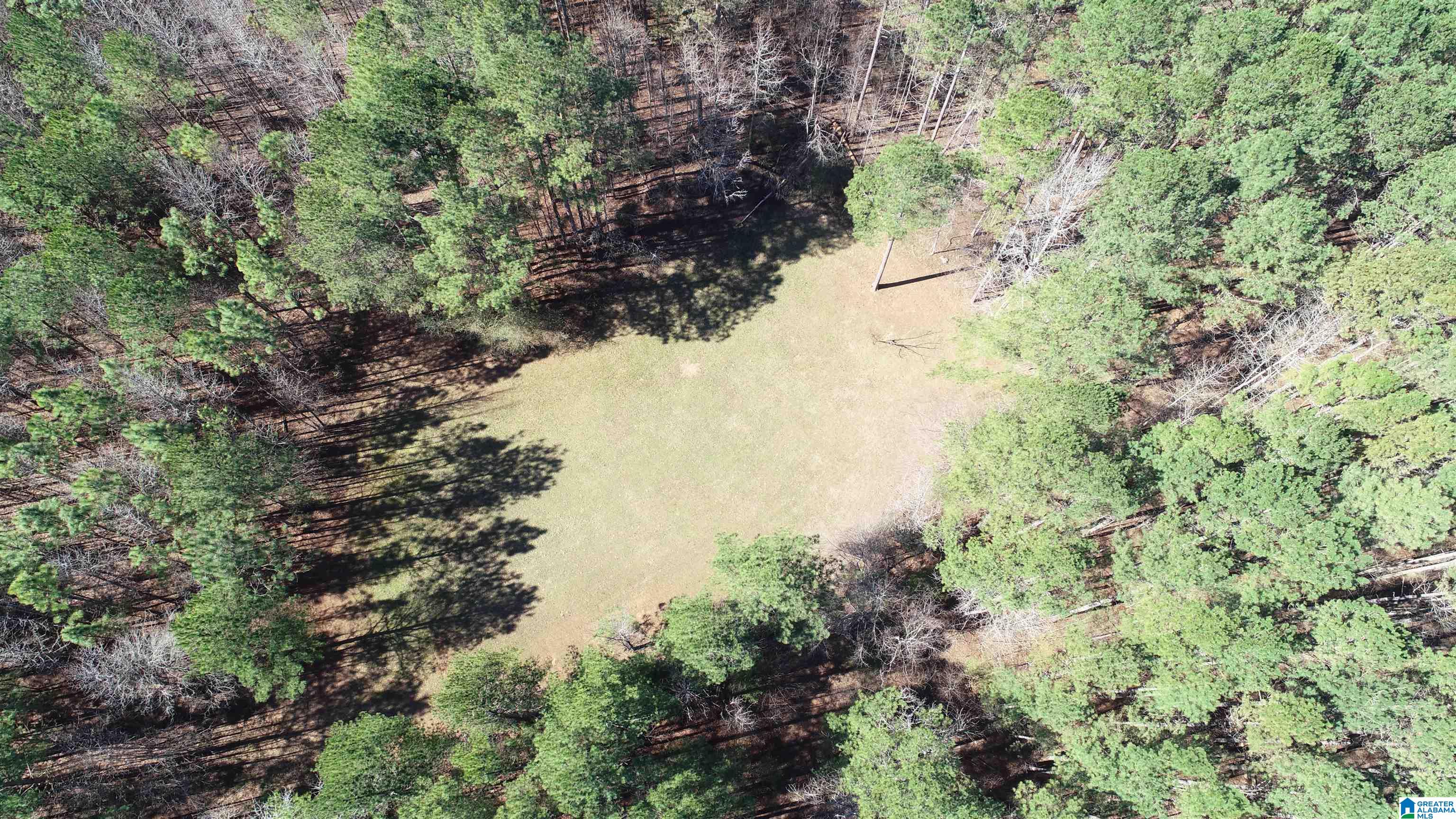 109 Shadow Stone Lane Oneonta, AL 35121 - Photo 8 of 31