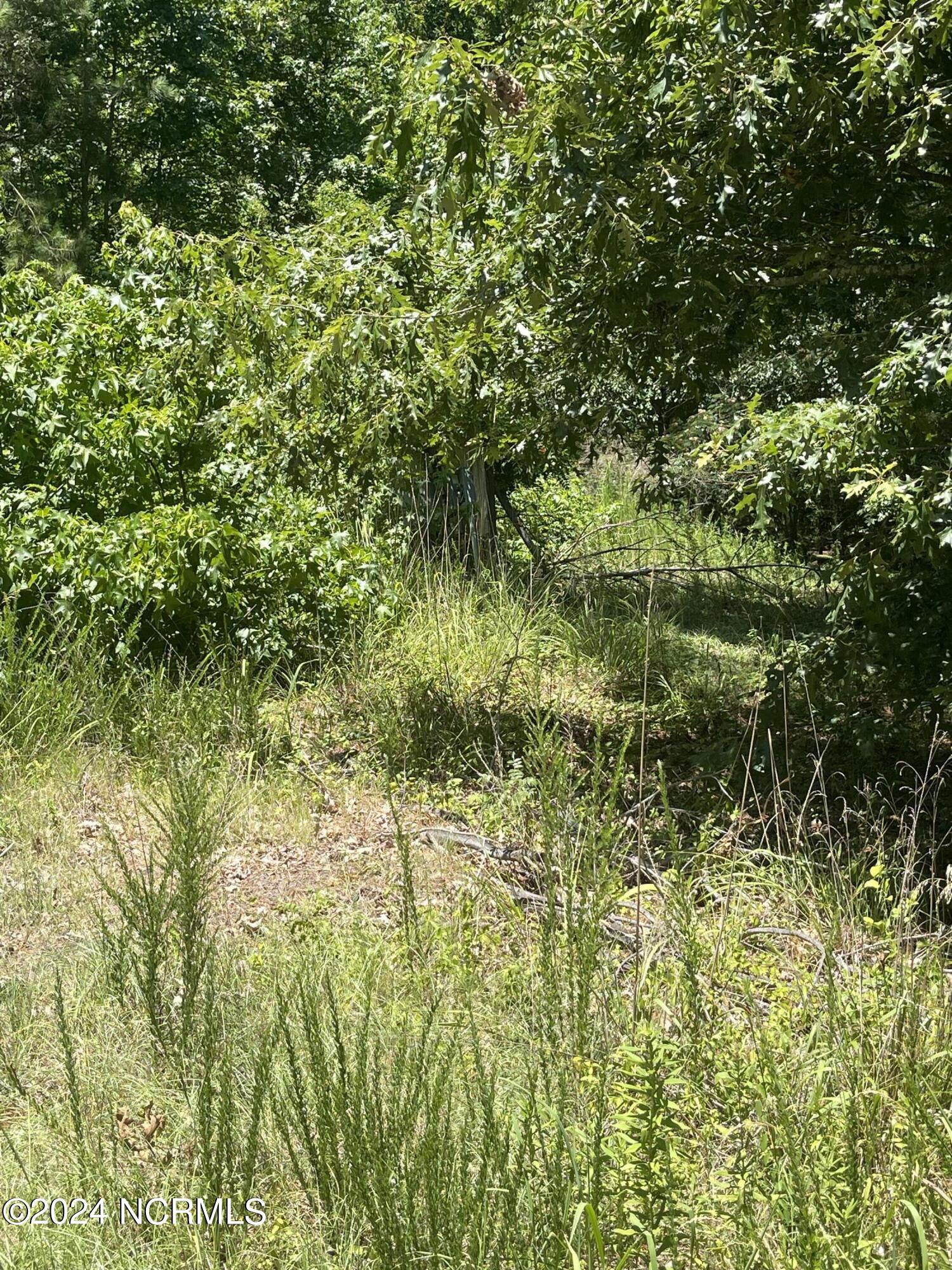 175 Hemlock Street Hertford, NC 27944 - Photo 11 of 11 image_67514113