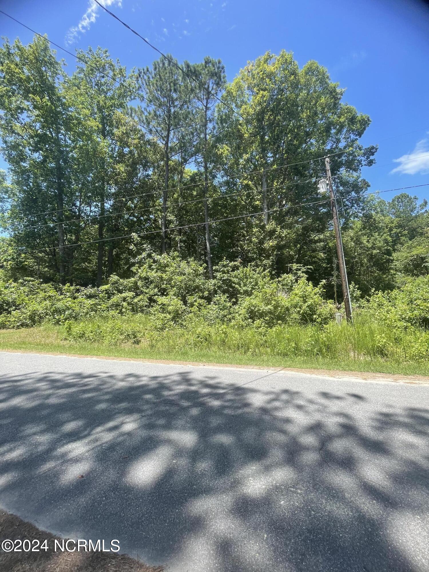 175 Hemlock Street Hertford, NC 27944 - Photo 10 of 11 image_67511041