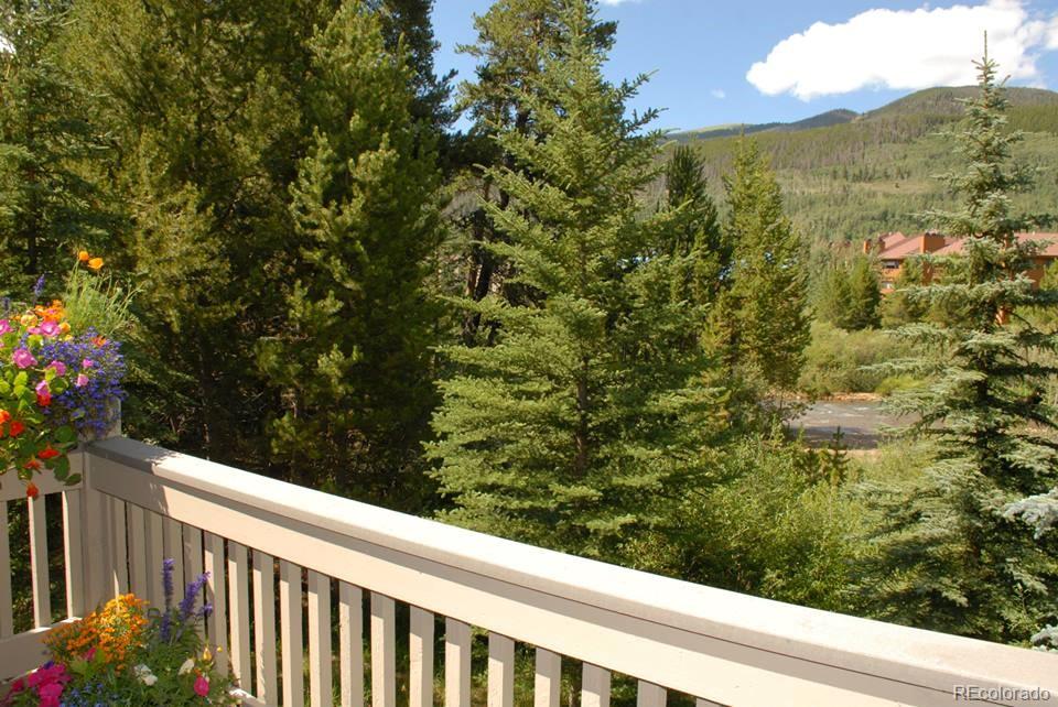 1459 West Keystone Road, Unit C1 Dillon, CO 80435 - Photo 11 of 15 Gallery Image 11