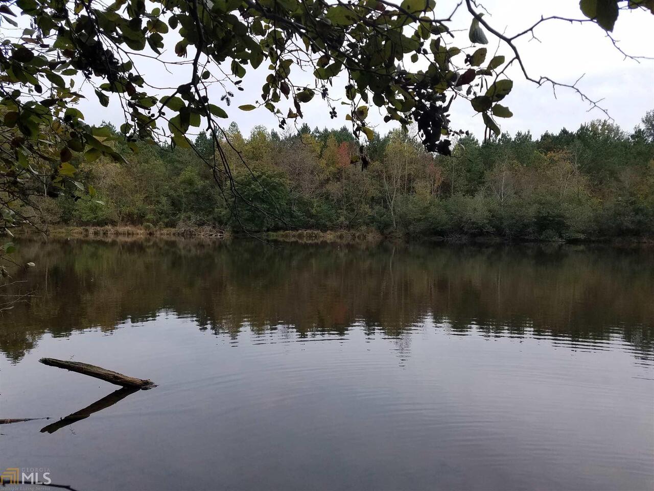 0 Wirebridge Cutoff Road Stephens, GA 30667 - Photo 1 of 1