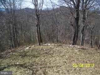 307 Farm Ridge Road Front Royal, VA 22630 - Photo 6 of 19 a view of a yard with trees