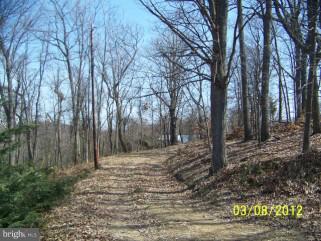 307 Farm Ridge Road Front Royal, VA 22630 - Photo 9 of 19 a view of a yard with trees