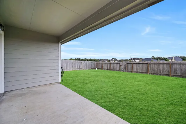 a view of a backyard with grass and a palm tree