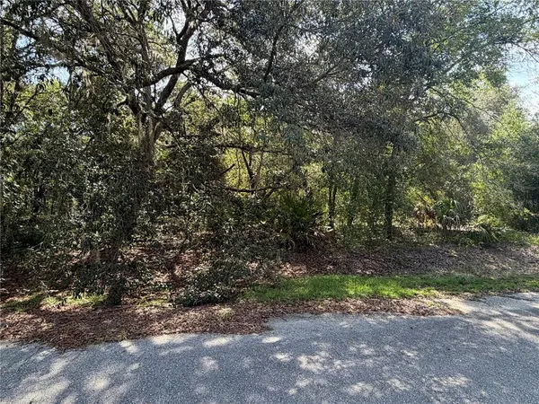 $24,000 | Tbd Malauka Pass Trail, Ocklawaha, FL 32179