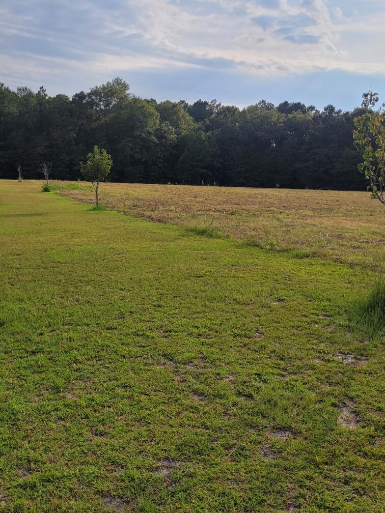 686 Nantuckett Road Salley, SC 29137 - Photo 49 of 49