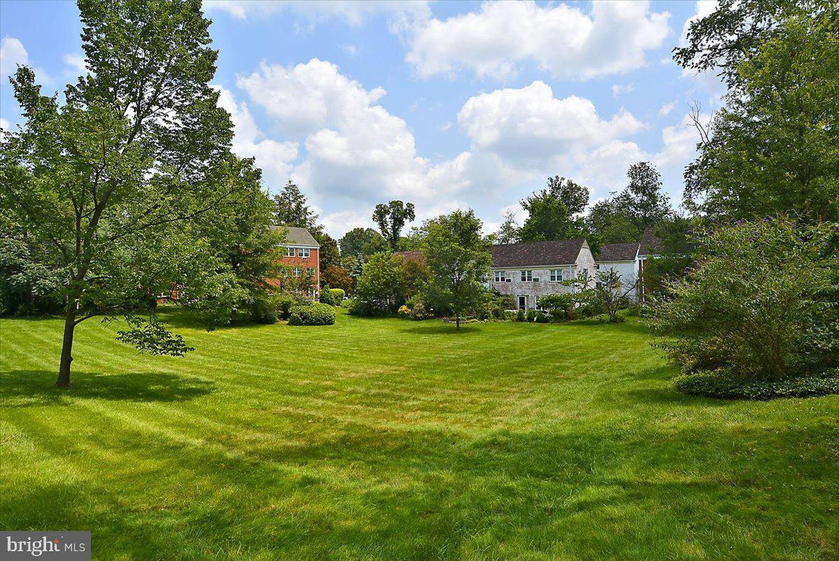 1600 Ripon Place Alexandria, VA 22302 - Photo 27 of 30 Beautiful green open spaces